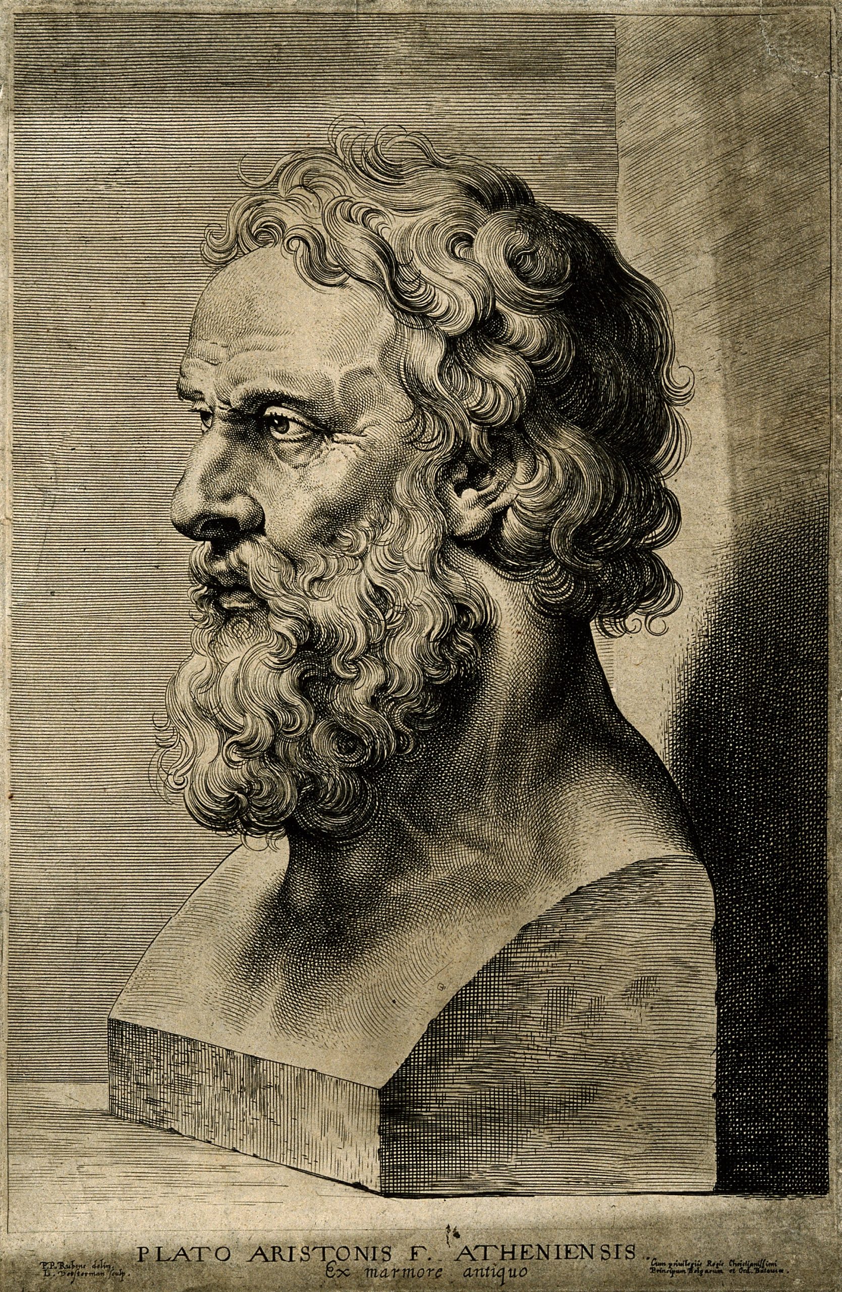 Bending plato david kolb
